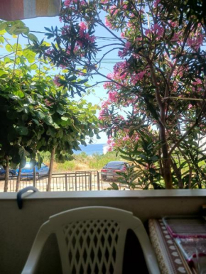Apartmani Home